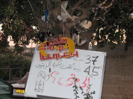 152 Sheik Jarrah 152 Sheik Jarrah